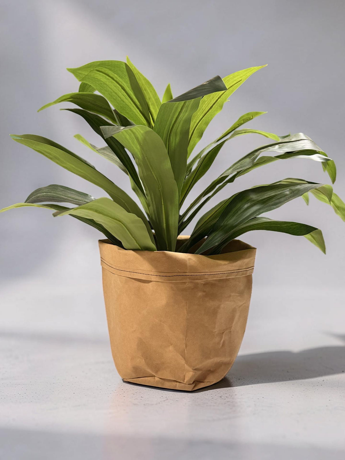 Canvas Storage Bag