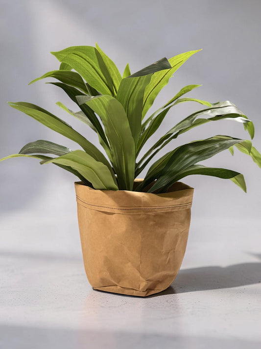 Canvas Storage Bag